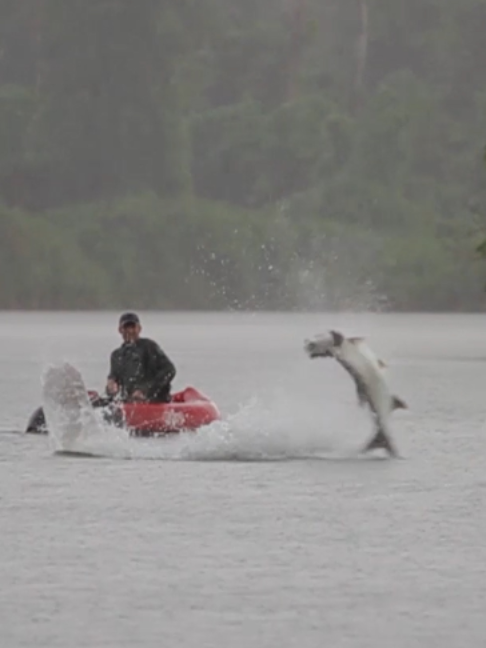 @Fishing TV
