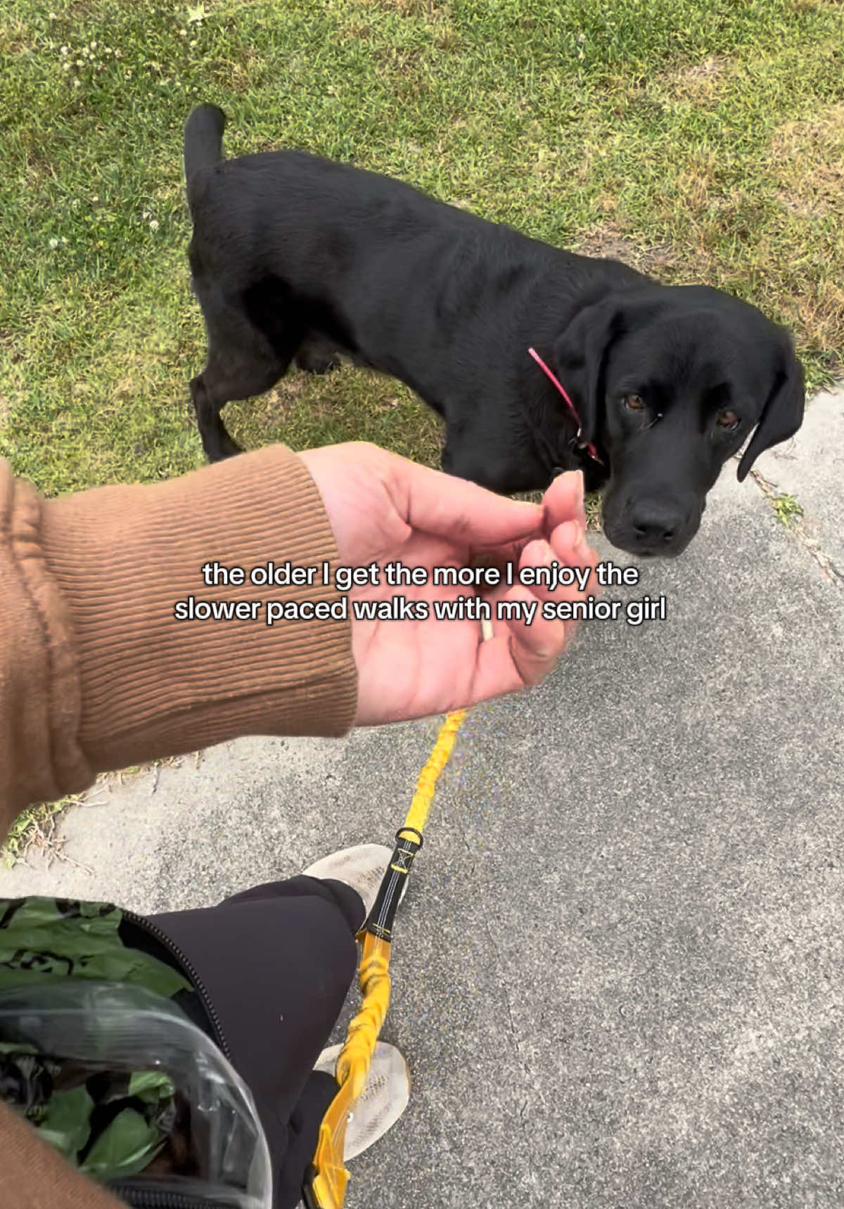 @Laura | Married With Dogs