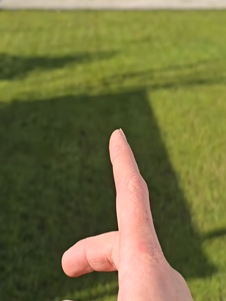 @Xorfee