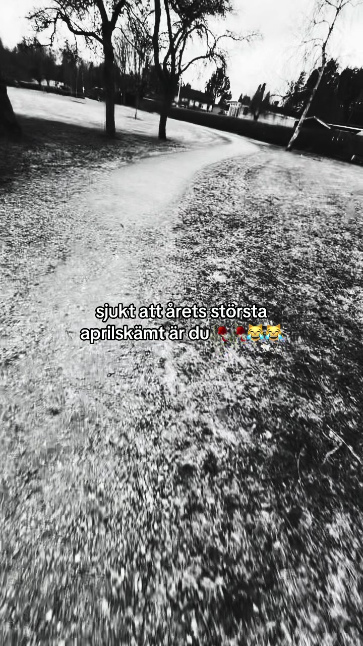 @🫡🫡