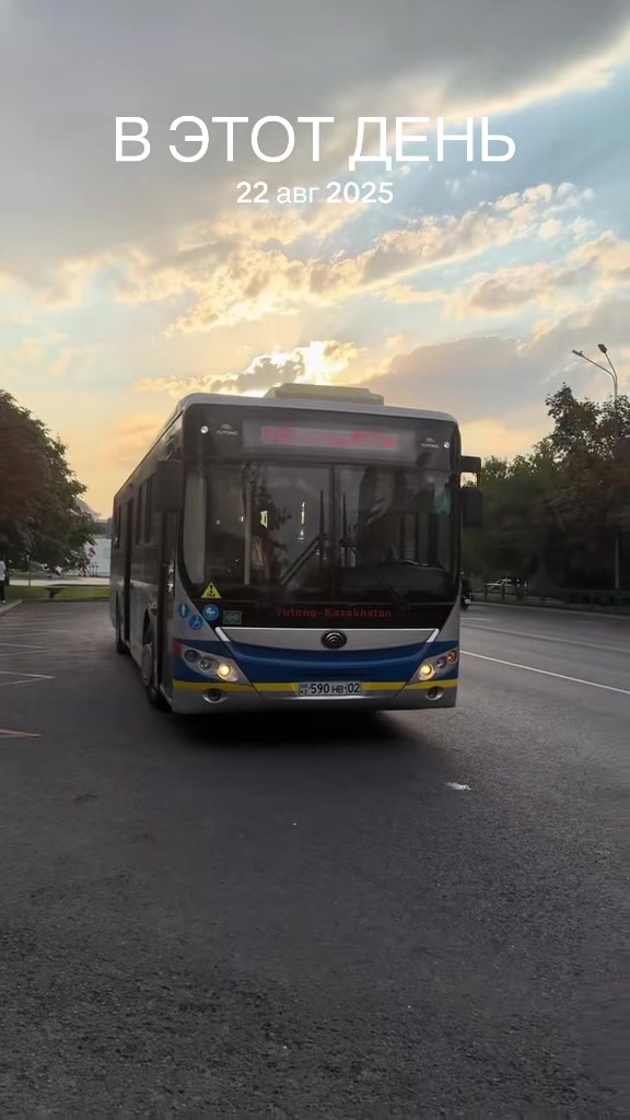 @𝔞𝔩𝔱𝔦_𝔟𝔲𝔰𝔰𝔢𝔰☑️