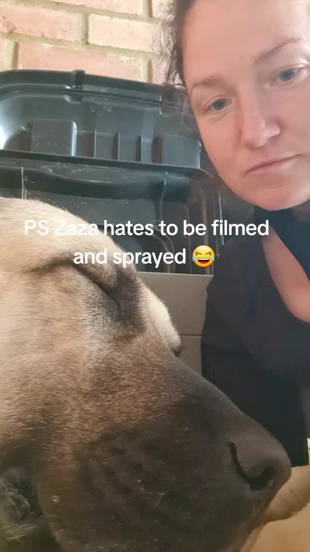 @Wellness for Pet