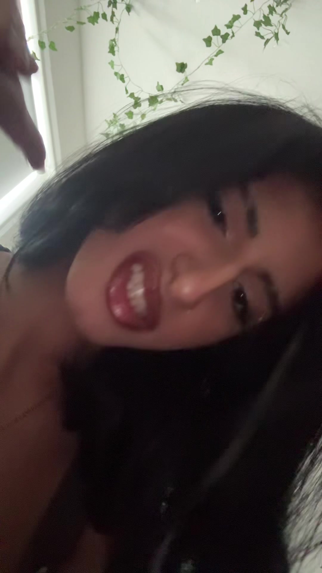 @laibubu