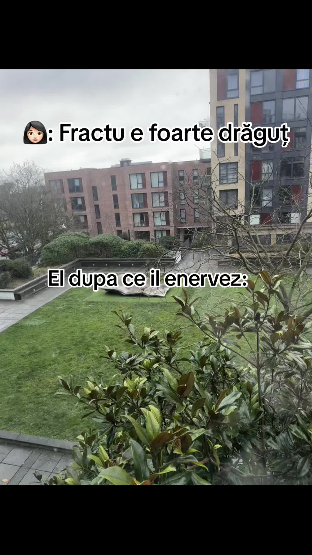 @Violeta Elena