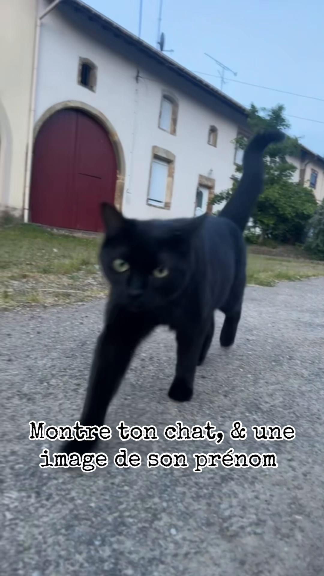 @𝐀𝐥𝐲𝐬𝐬