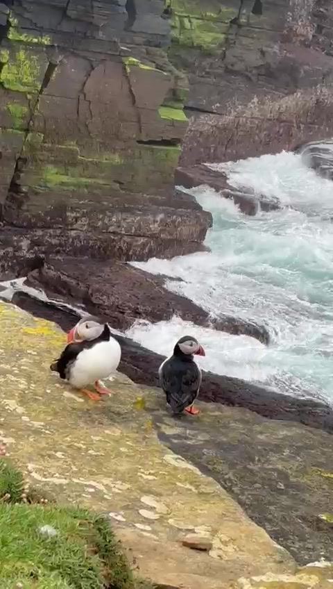 @Orkney Uncovered