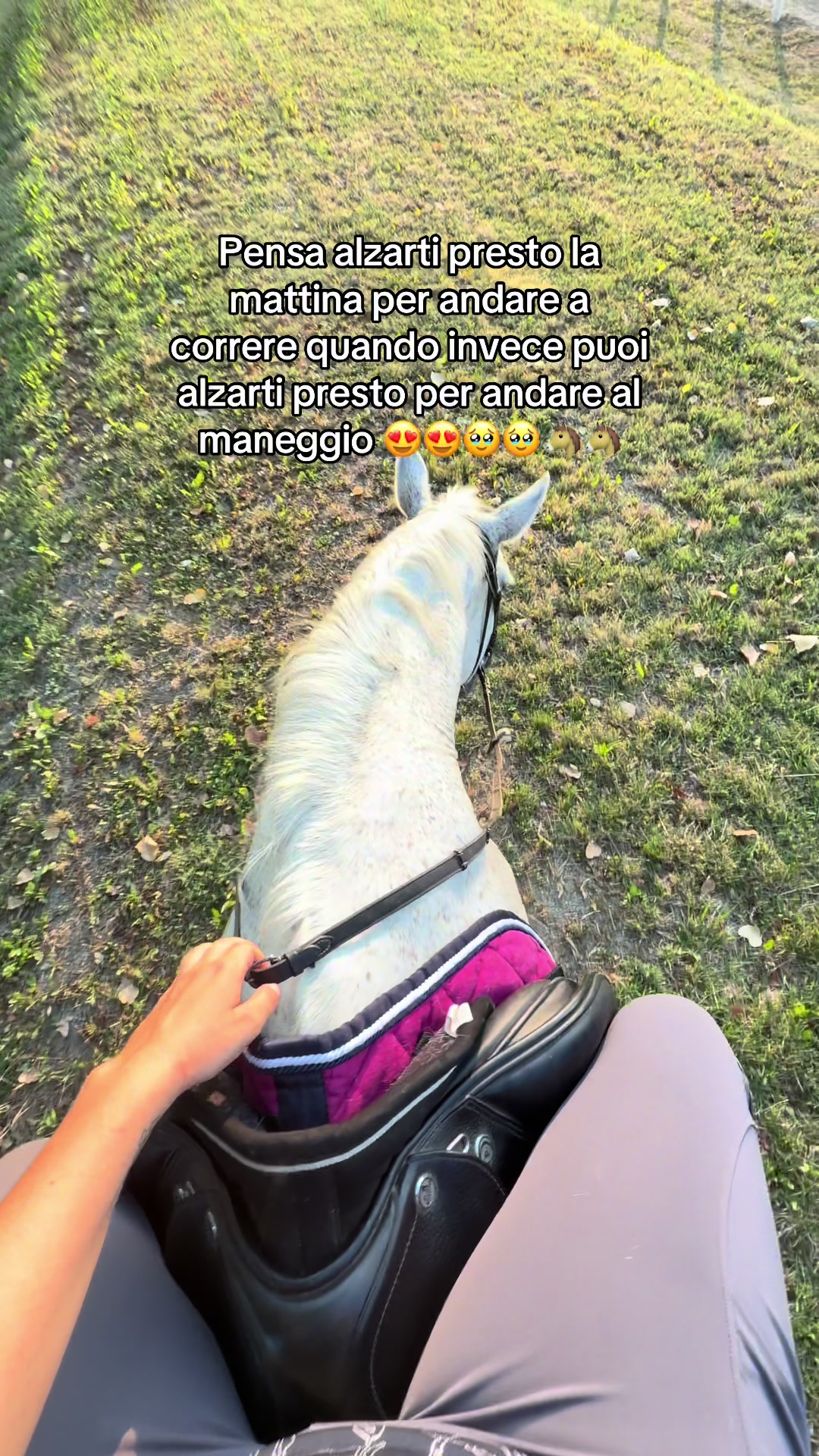 @Marta 🐴