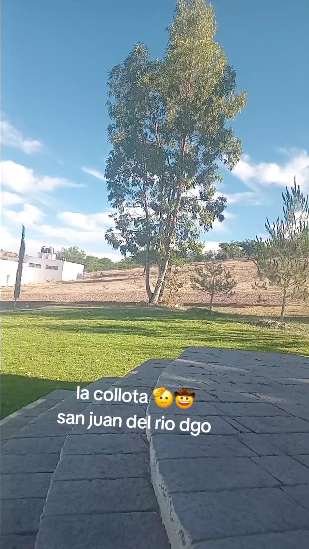 @Jesus Malverde