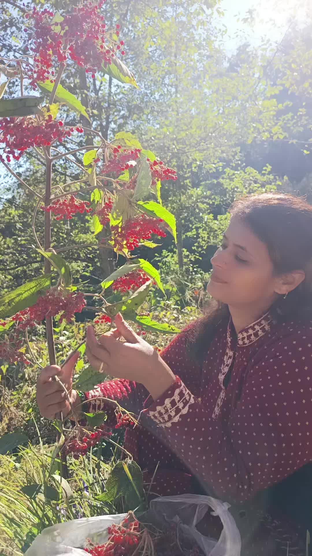 @gita subedi