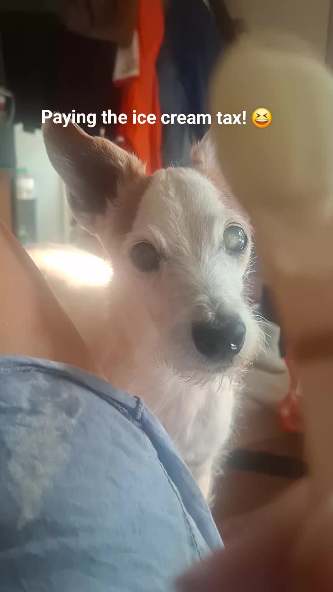 @#genxandherpets
