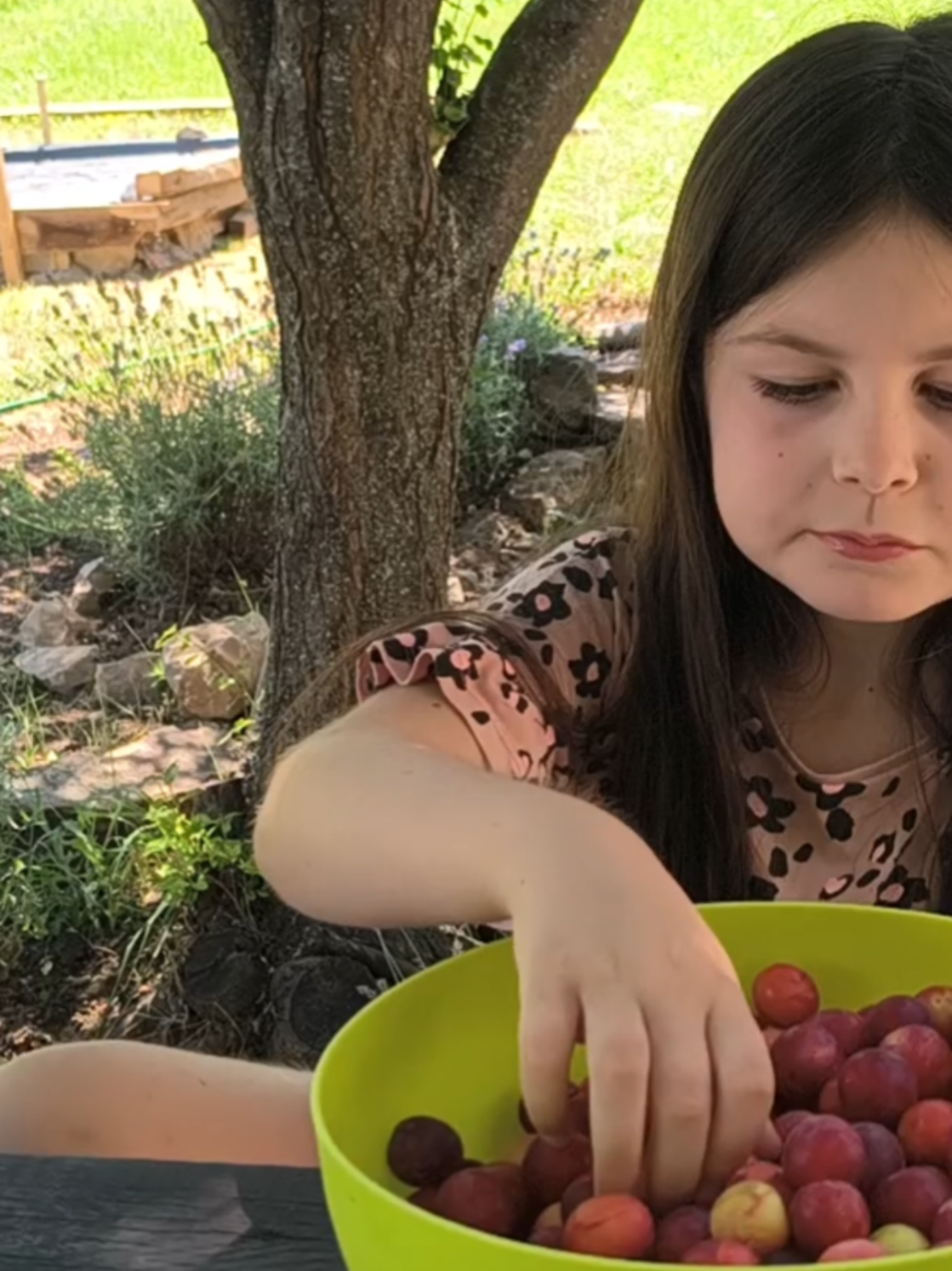 @Hannah | Life In Bulgaria