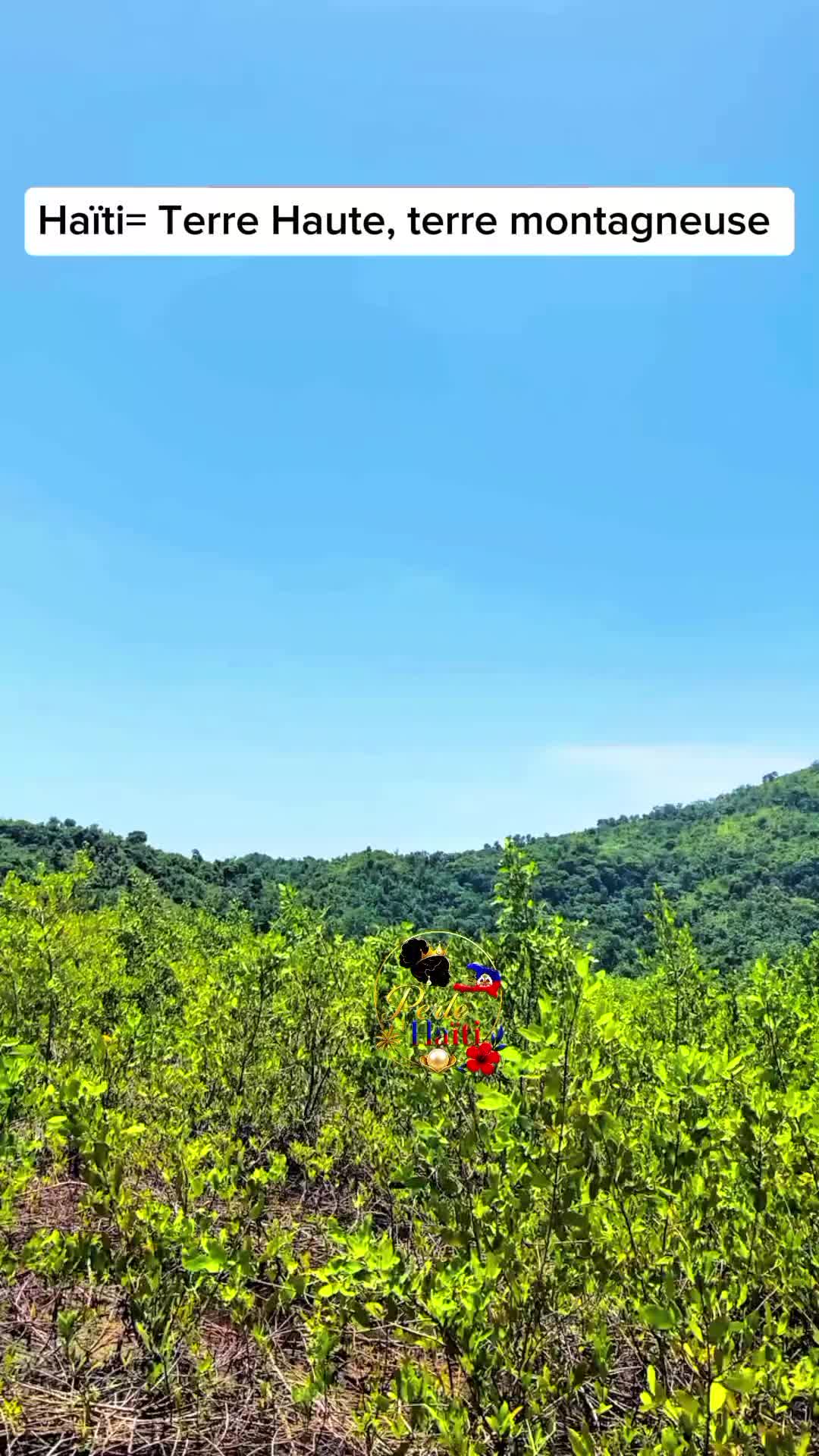 @🌴PERLE D'HAÏTI 🌴