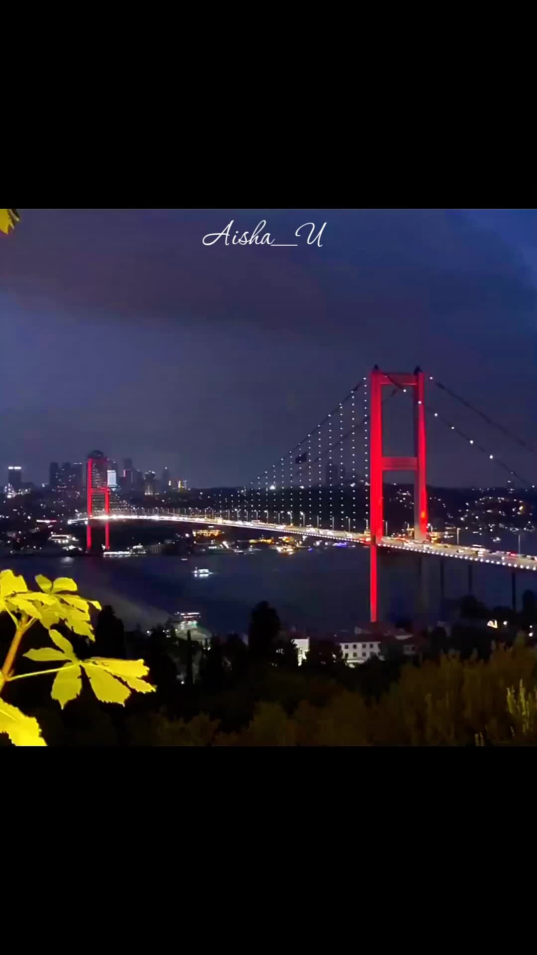@Aisha_U