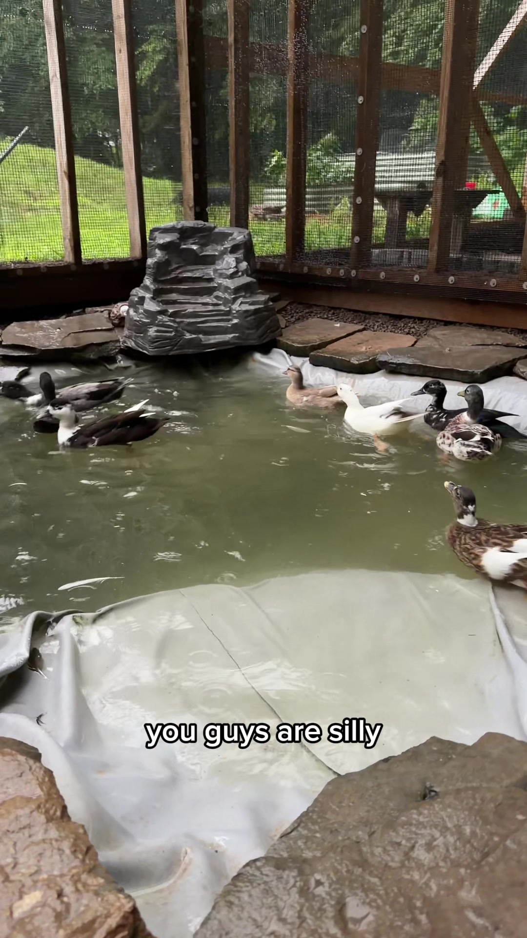 @The Quack House