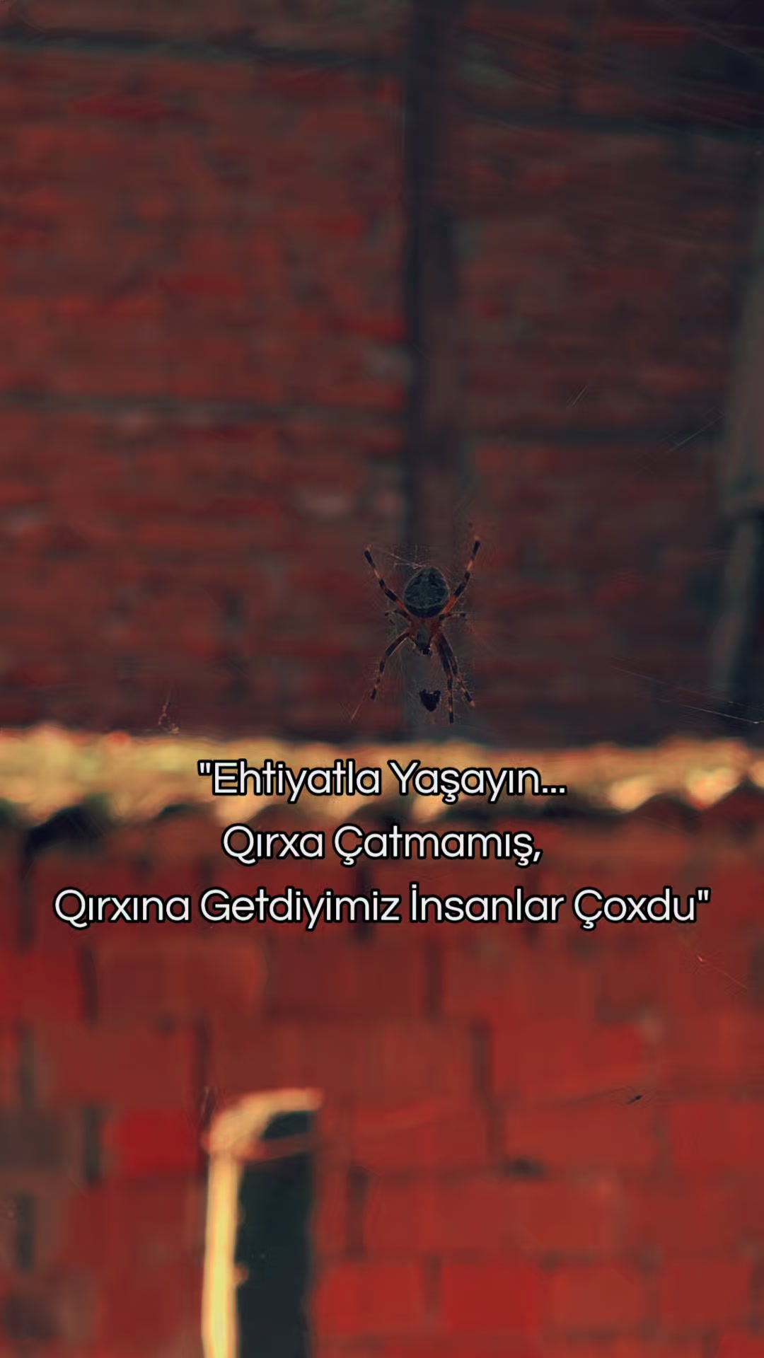 @...Noqte
