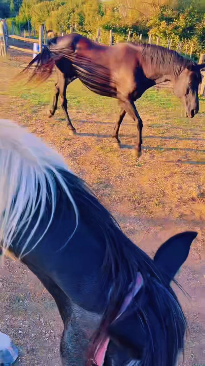 @Aamir