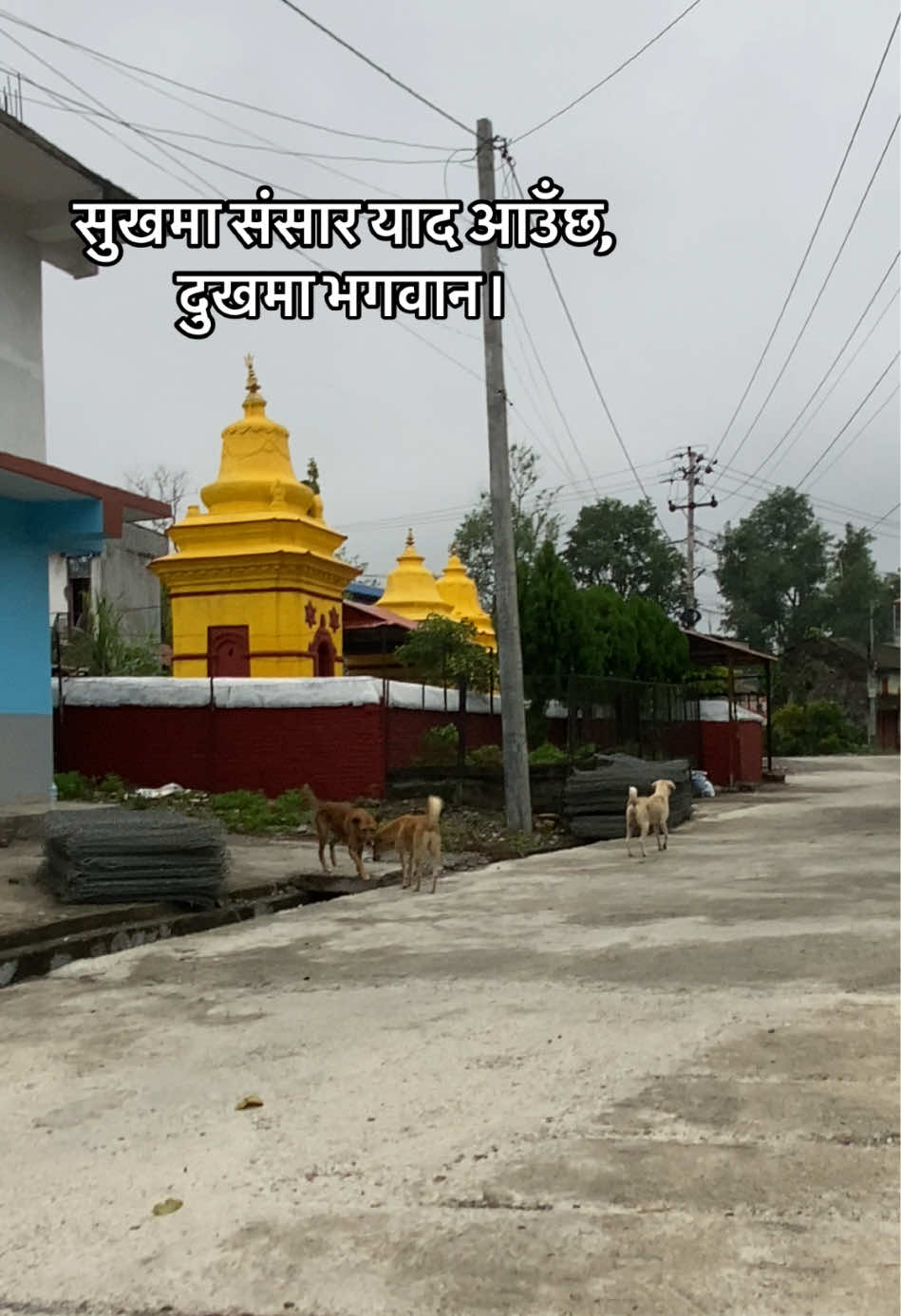 @suzan shrestha