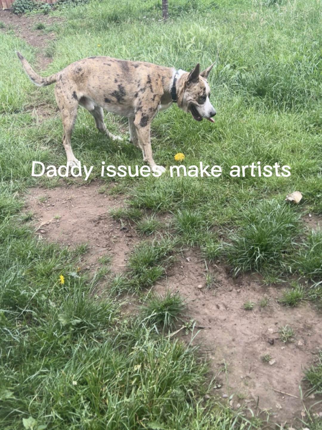 @maya