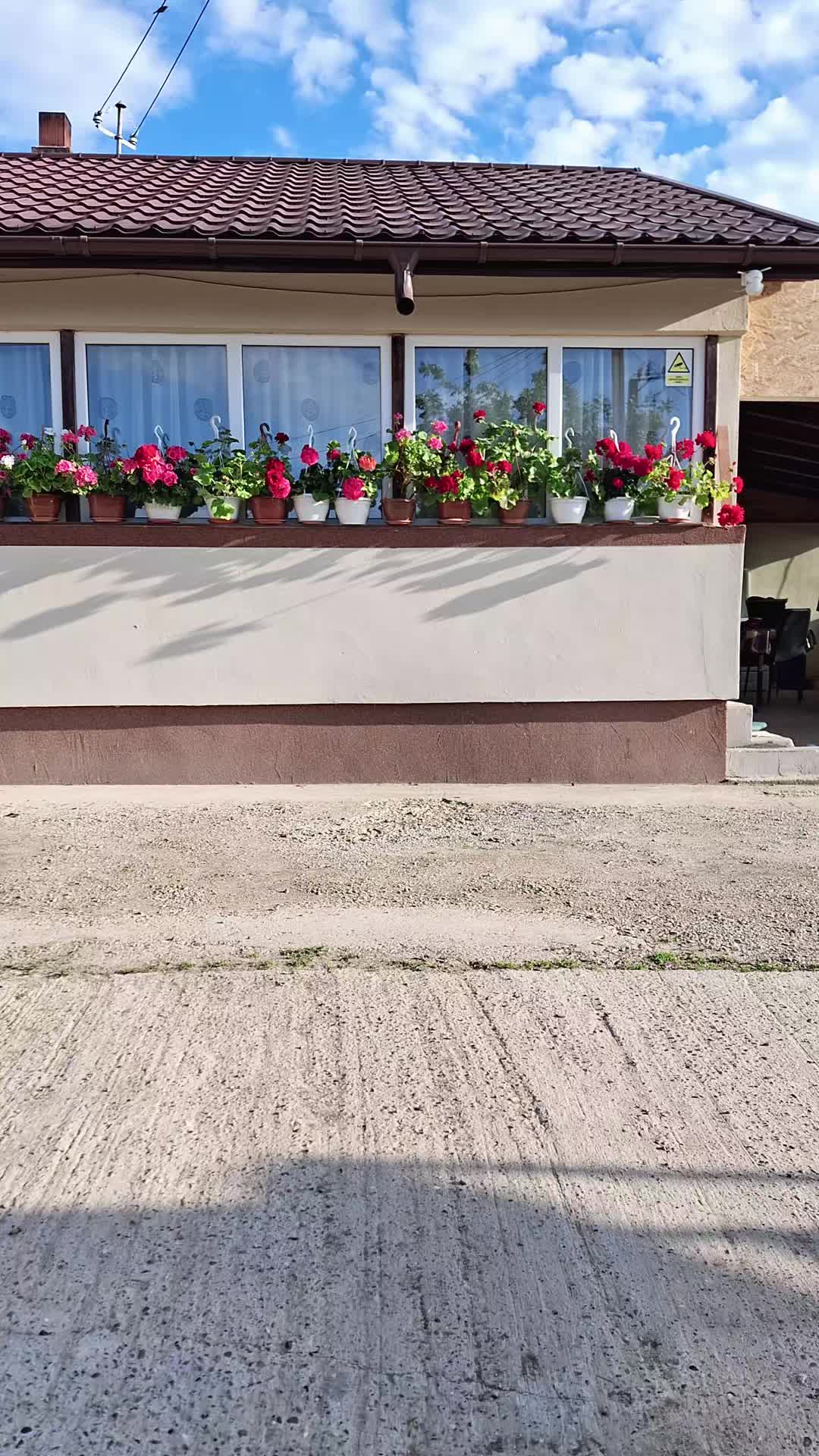 @Geanina Palcau