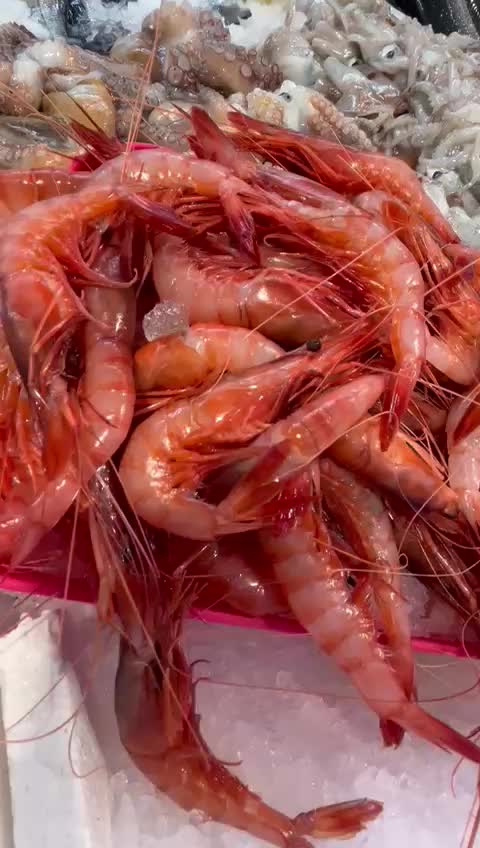 @Pescheriailsorriso