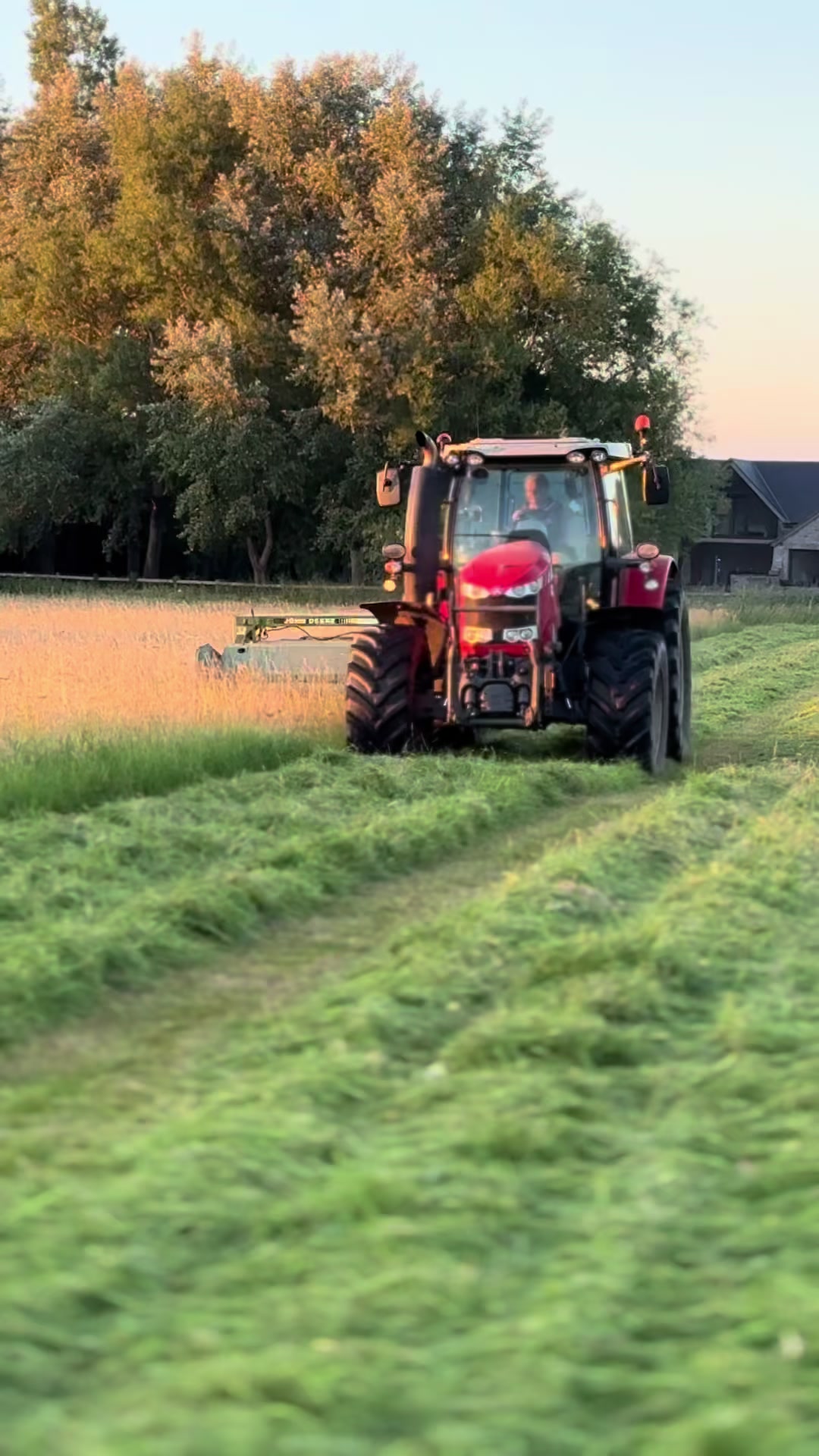 @Wogby 🚜🌾