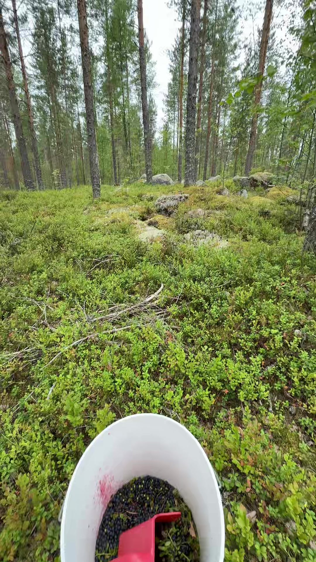 @PinkoNainen🕶💋