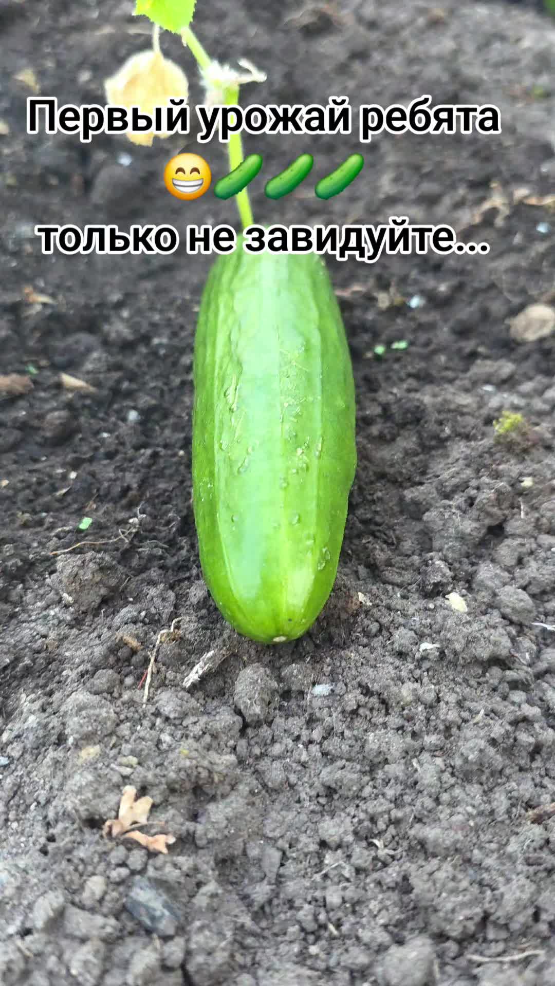@Женька и Барсик🇱🇻
