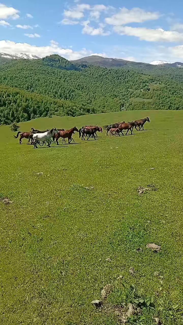 @Վաչե Գևորգյան