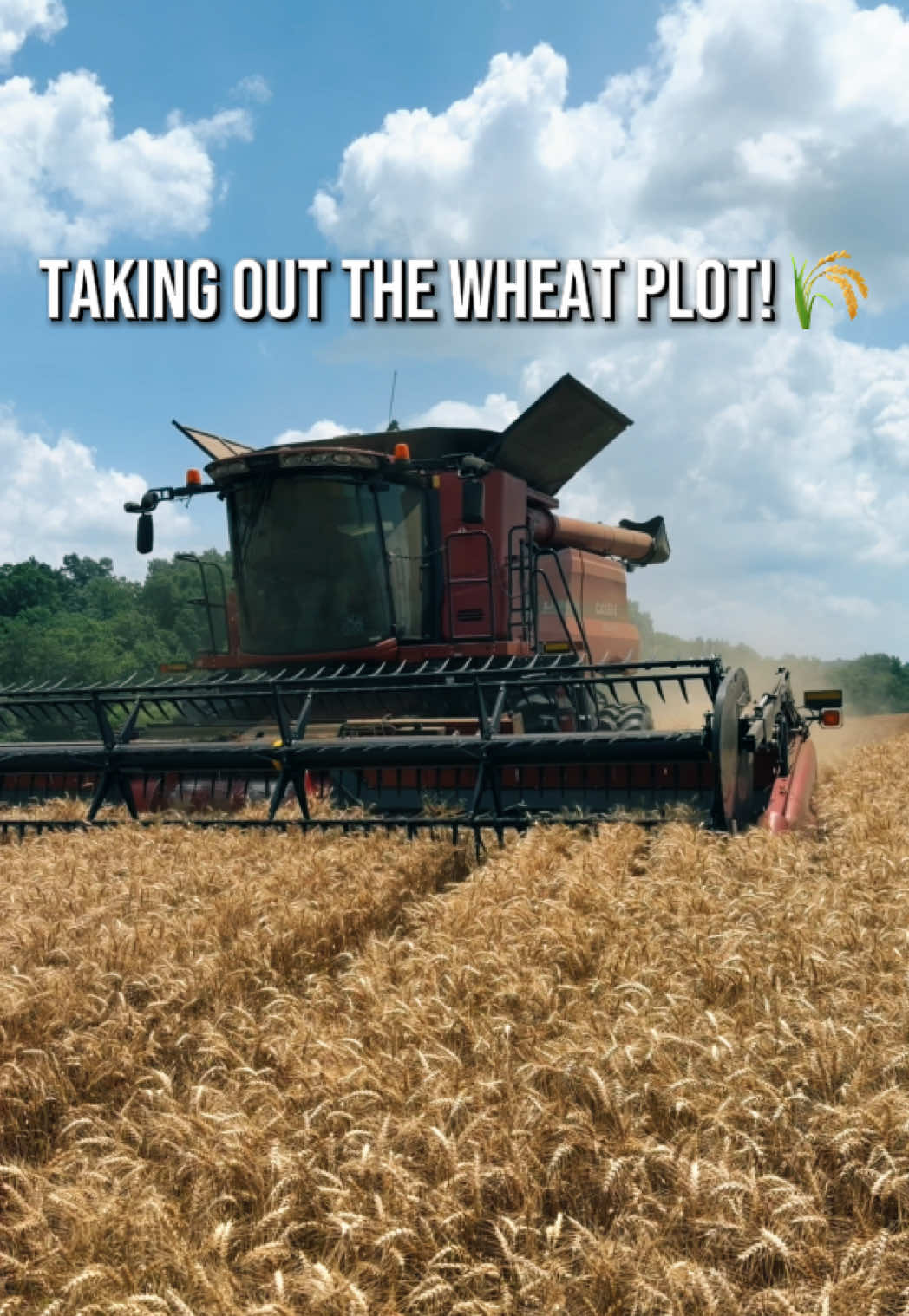 @JENNA 🌽