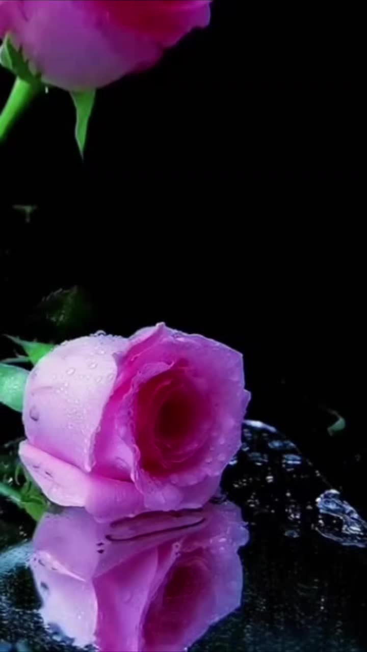 @Sai Meena