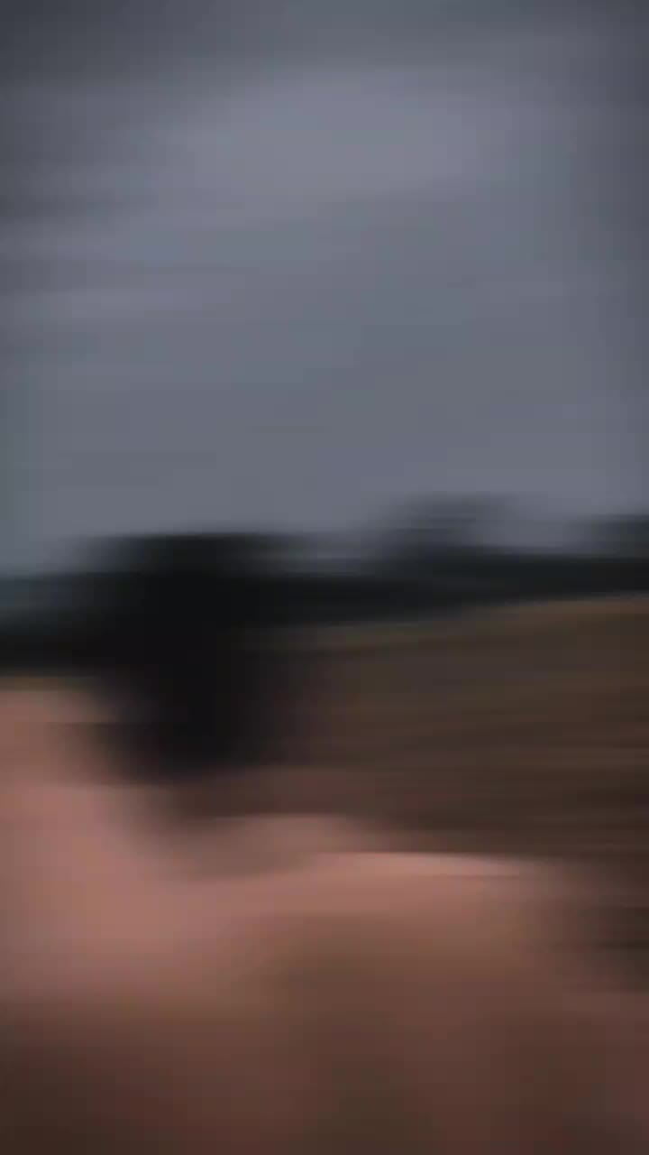 @malik Mohsin