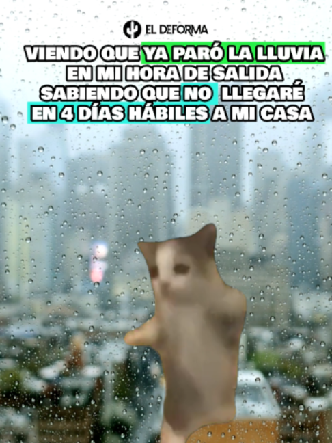 @ElDeforma
