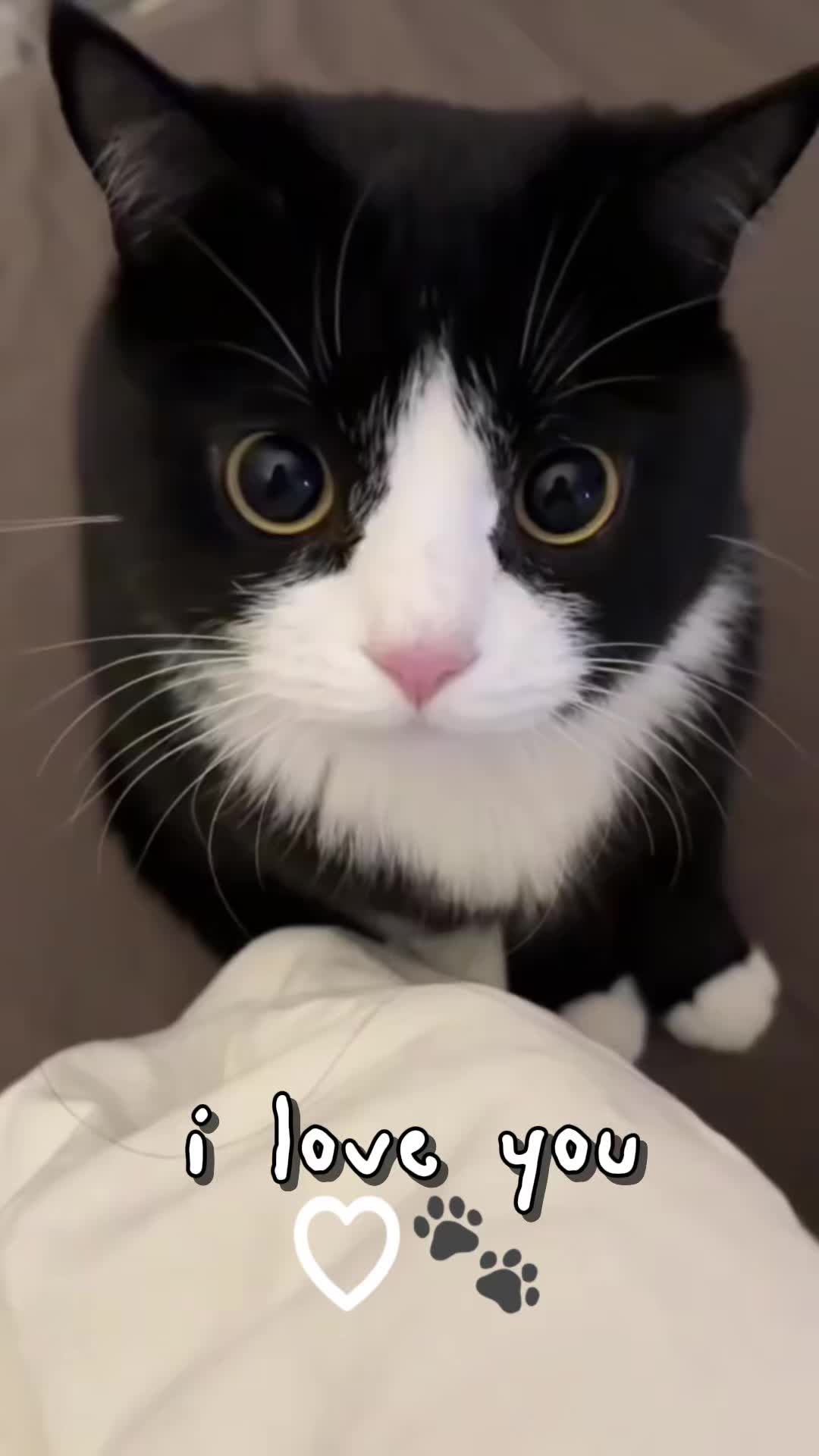 @jasper._vibes
