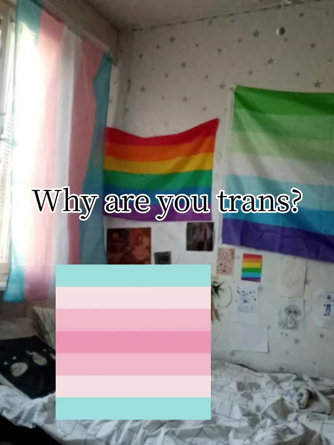 @vii.૮₍ ˶ᵔ ᵕ ᵔ˶ ₎ა
