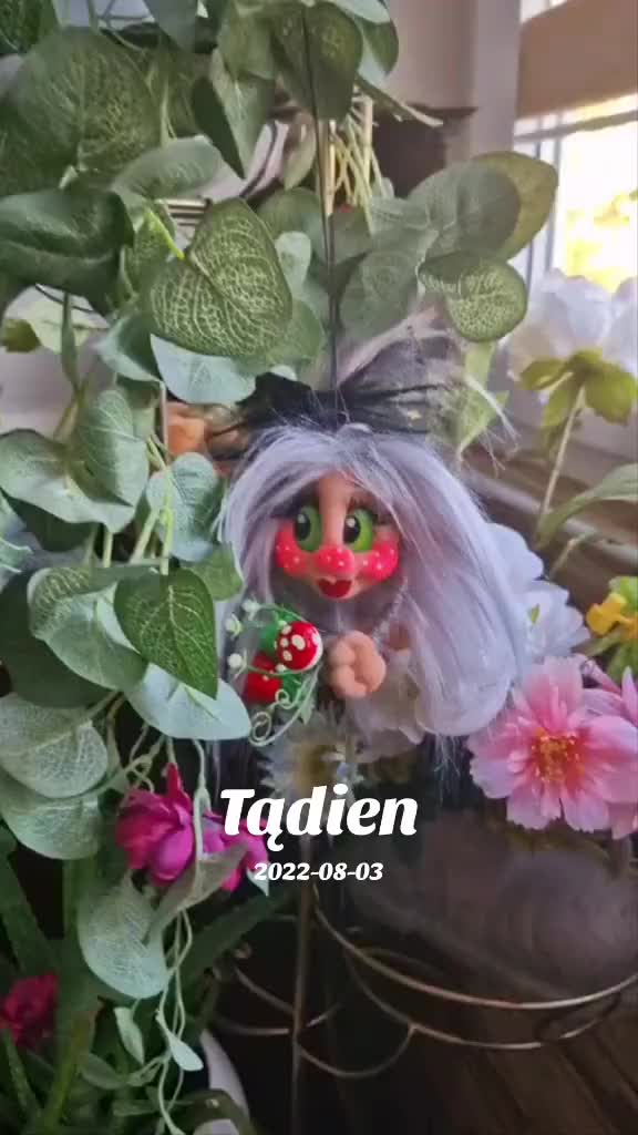 @daiva.daiva16