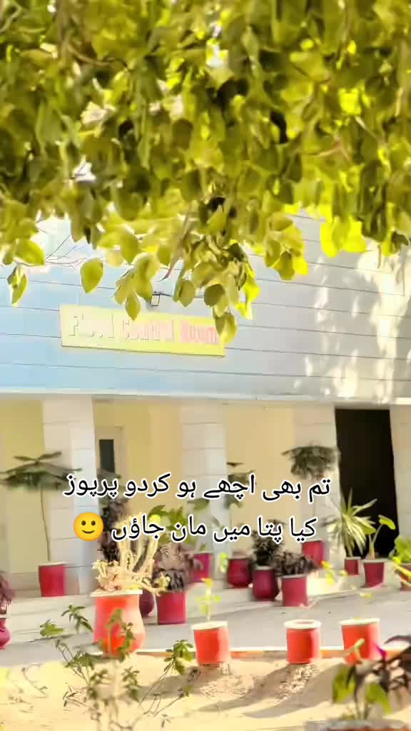 @🥀 شہزادی 🥀