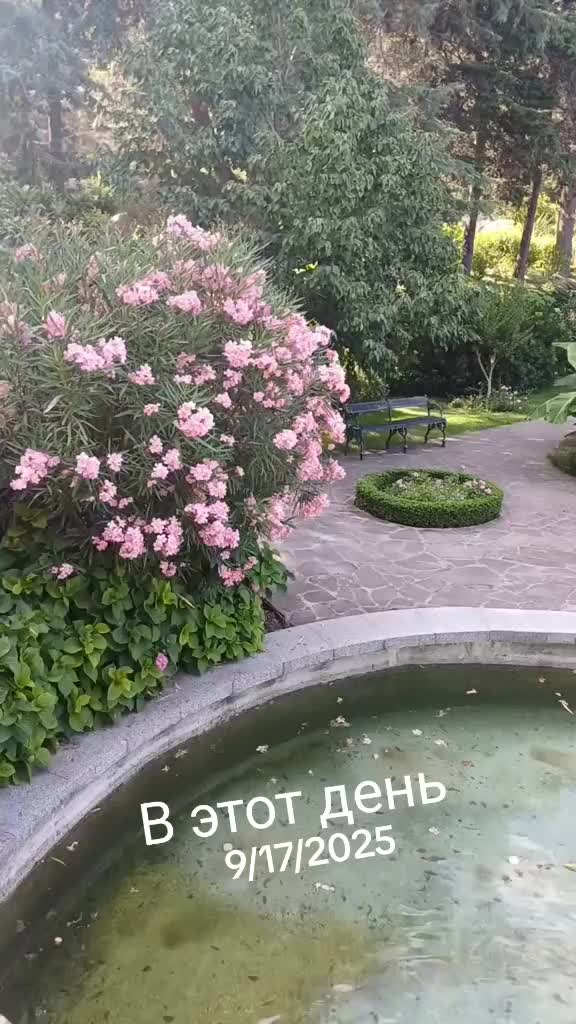 @Незабудка
