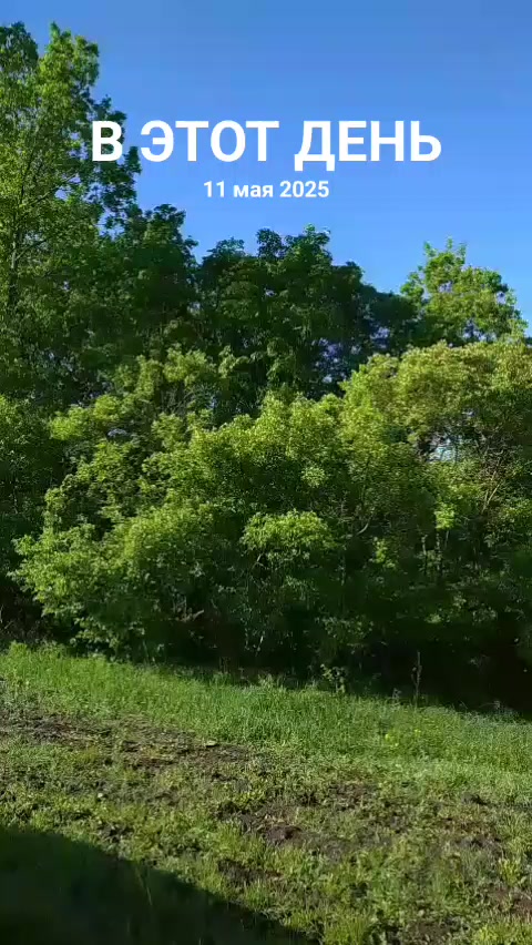@Марина