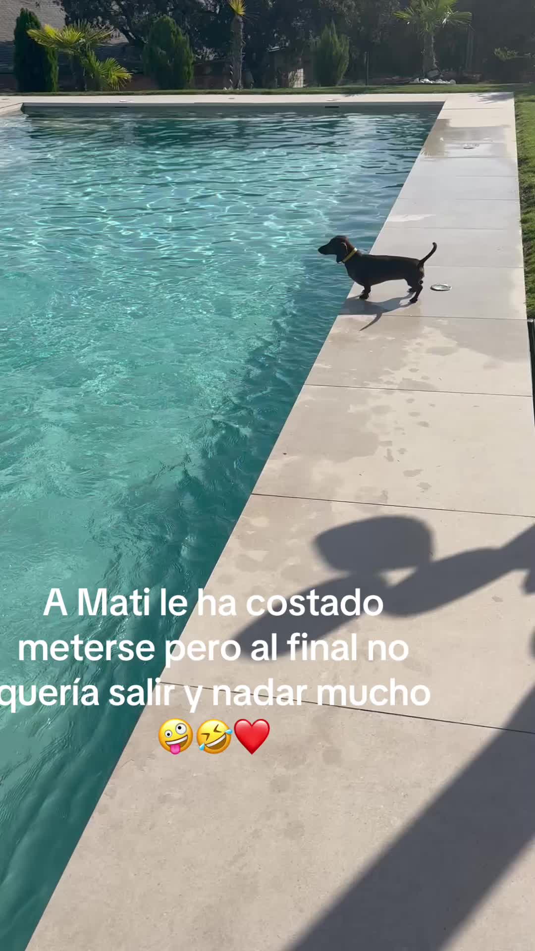 @patushiiiii