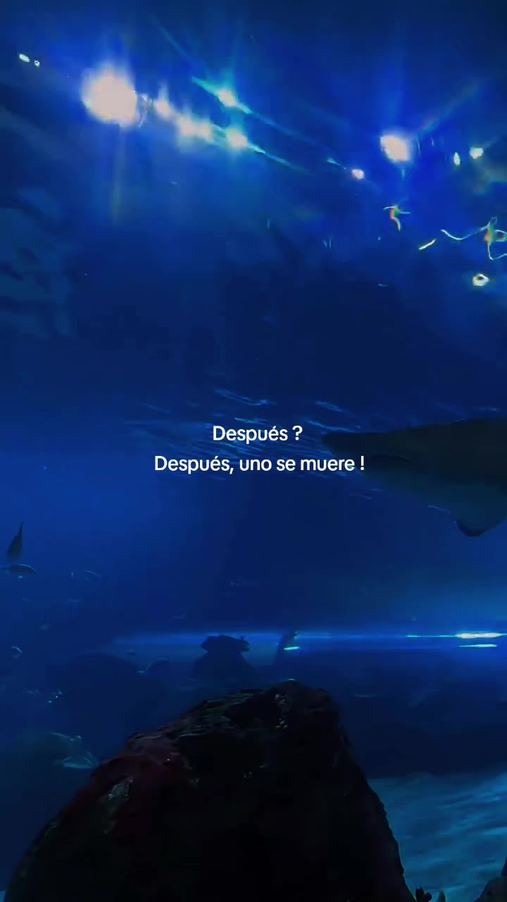 @Deiby