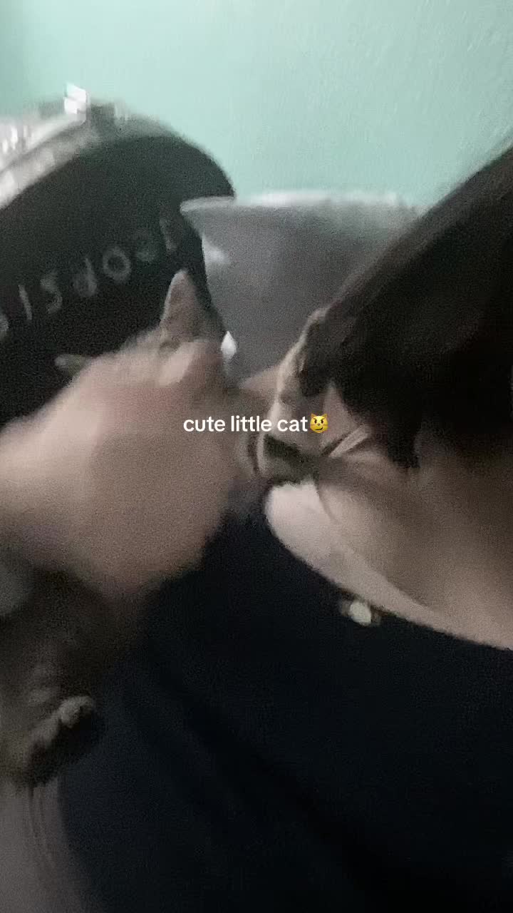 @deftones_lover0