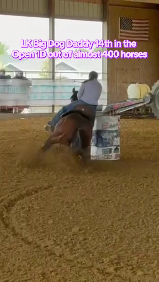 @Living Lucky Quarter Horses