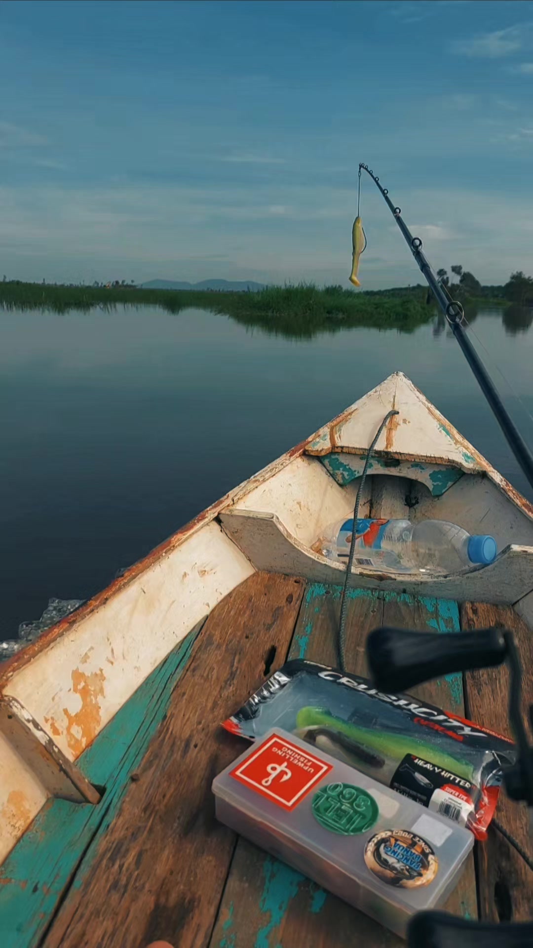 @TungFishing