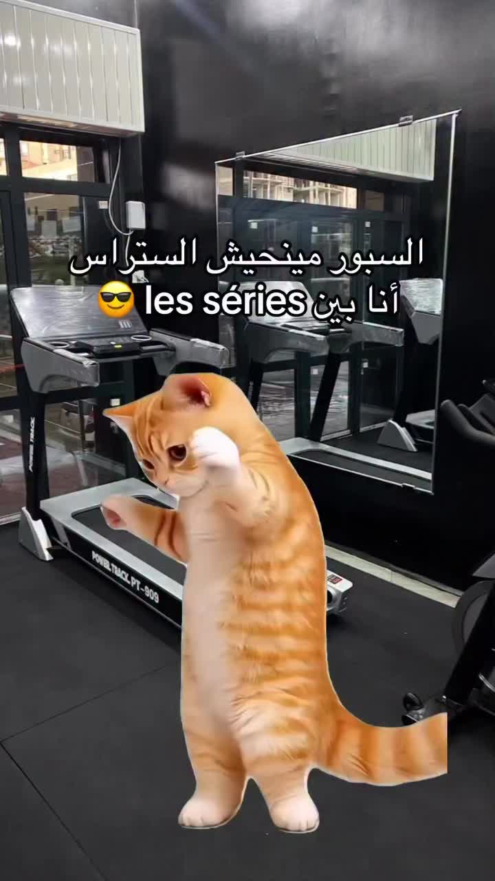 @Nis_krs