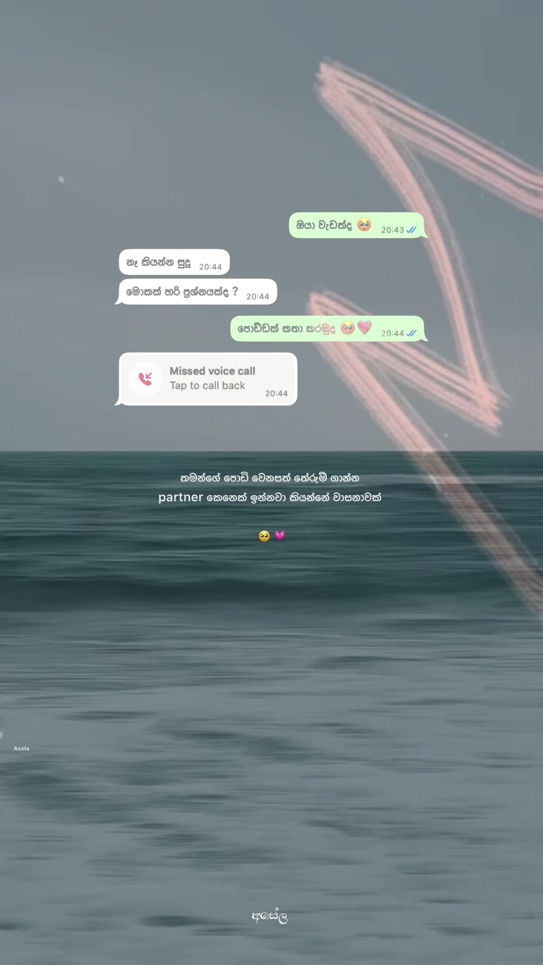 @AseLa❕“