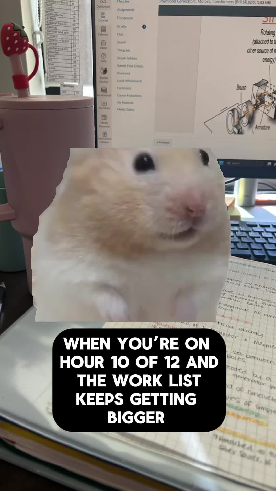 @🦦