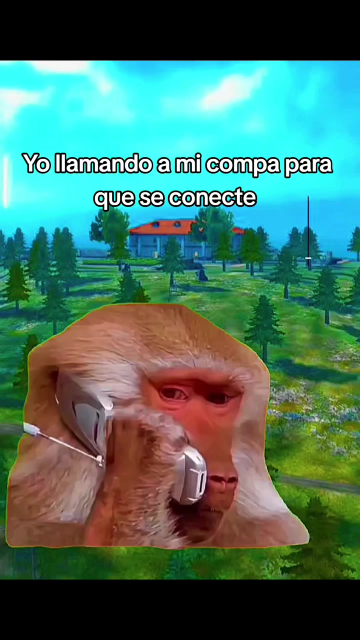 @Dark Z