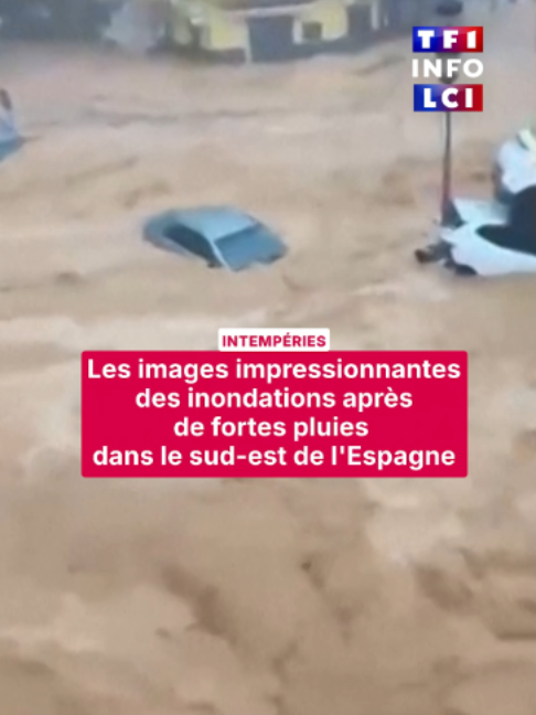 @TF1 INFO