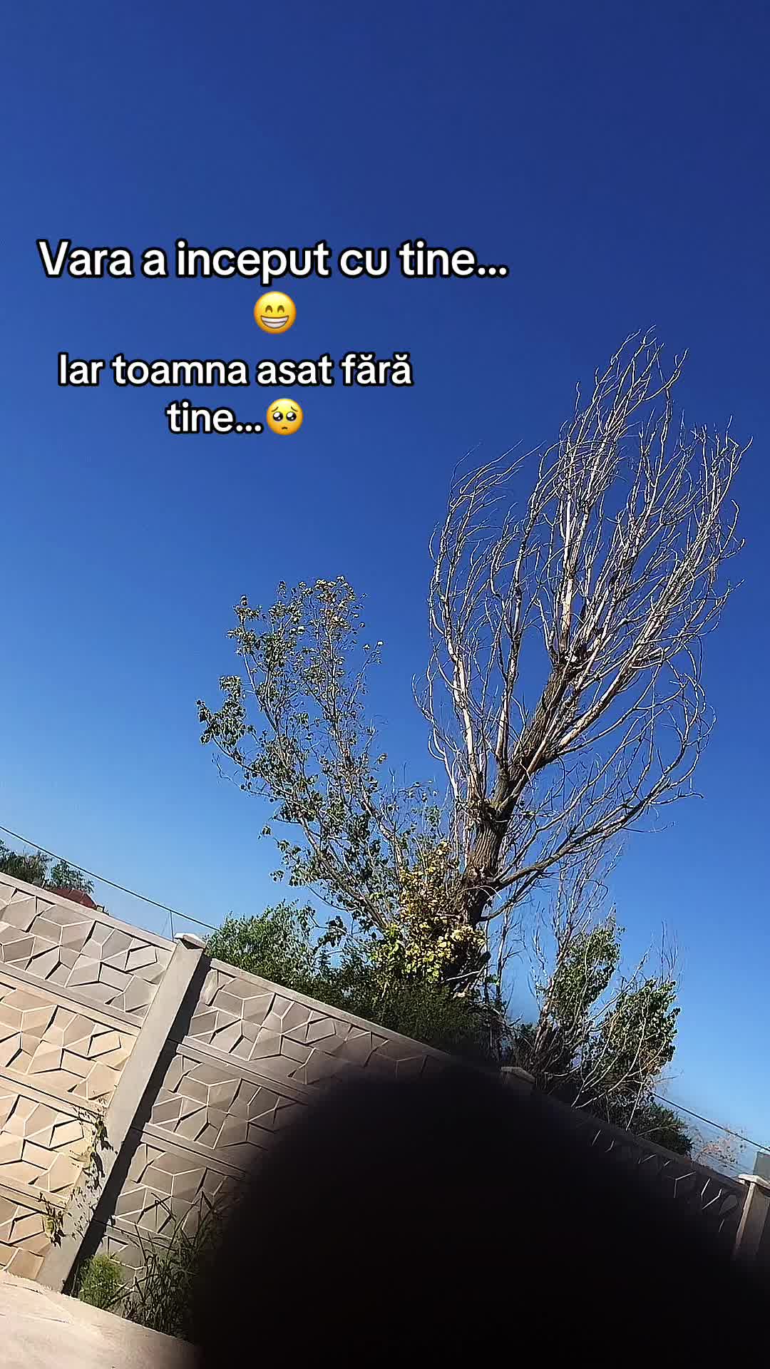 @habibby10
