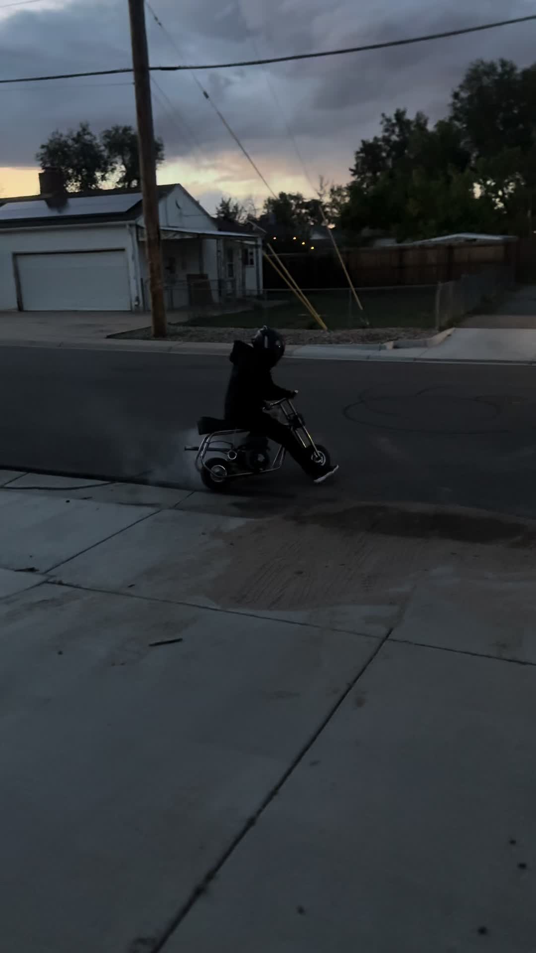 @zoomeez_